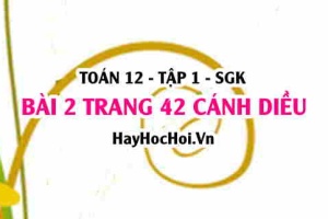 Bài 2 trang 42 Toán 12 tập 1 Cánh Diều